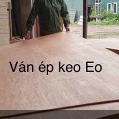 Ván ép AB xuất khẩu