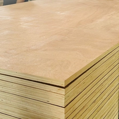 Ván ép pallet